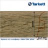 Плинтус Tarkett SD 60 - 205 ASIAN OAK