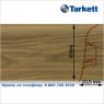 Плинтус Tarkett SD 60 - 227 ADRIATIC ELM